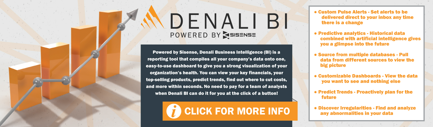 Denali Business Intelligence
